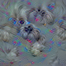 n02086079 Pekinese, Pekingese, Peke
